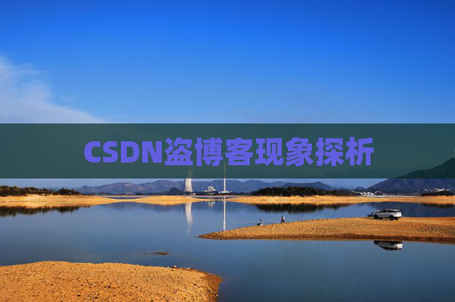 CSDN盗博客现象探析